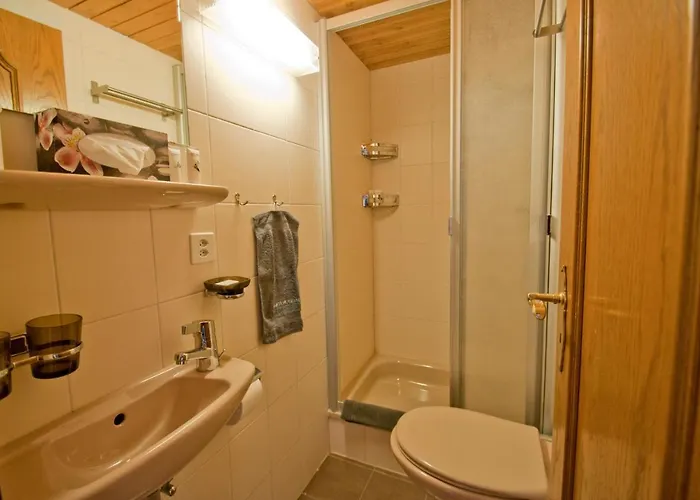 Bellevue, Alpina Apartment Zermatt